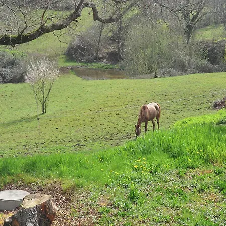 Βίλα In France Near Scenic Landmarks Estang