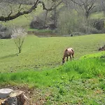 Villa In France Near Scenic Landmarks Estang