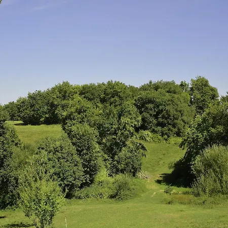 In France Near Scenic Landmarks *