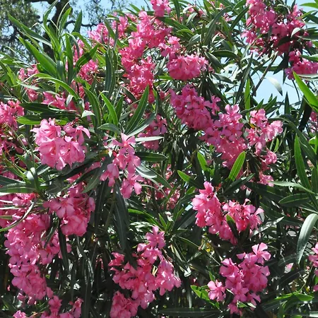 别墅 In France Near Scenic Landmarks Estang