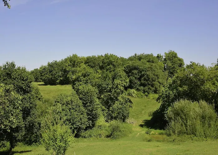 In France Near Scenic Landmarks *