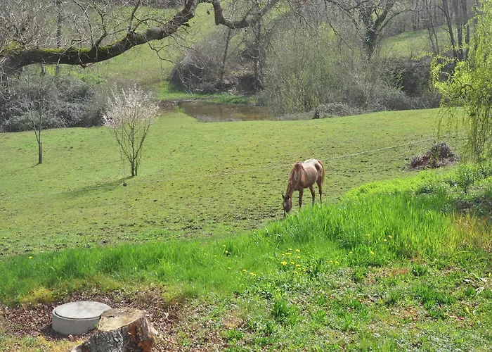 ヴィラ In France Near Scenic Landmarks Estang